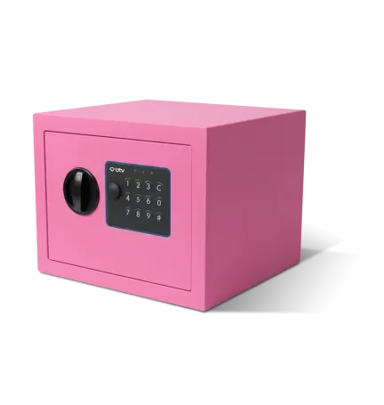 CAJA FUERTE ENA ROSA